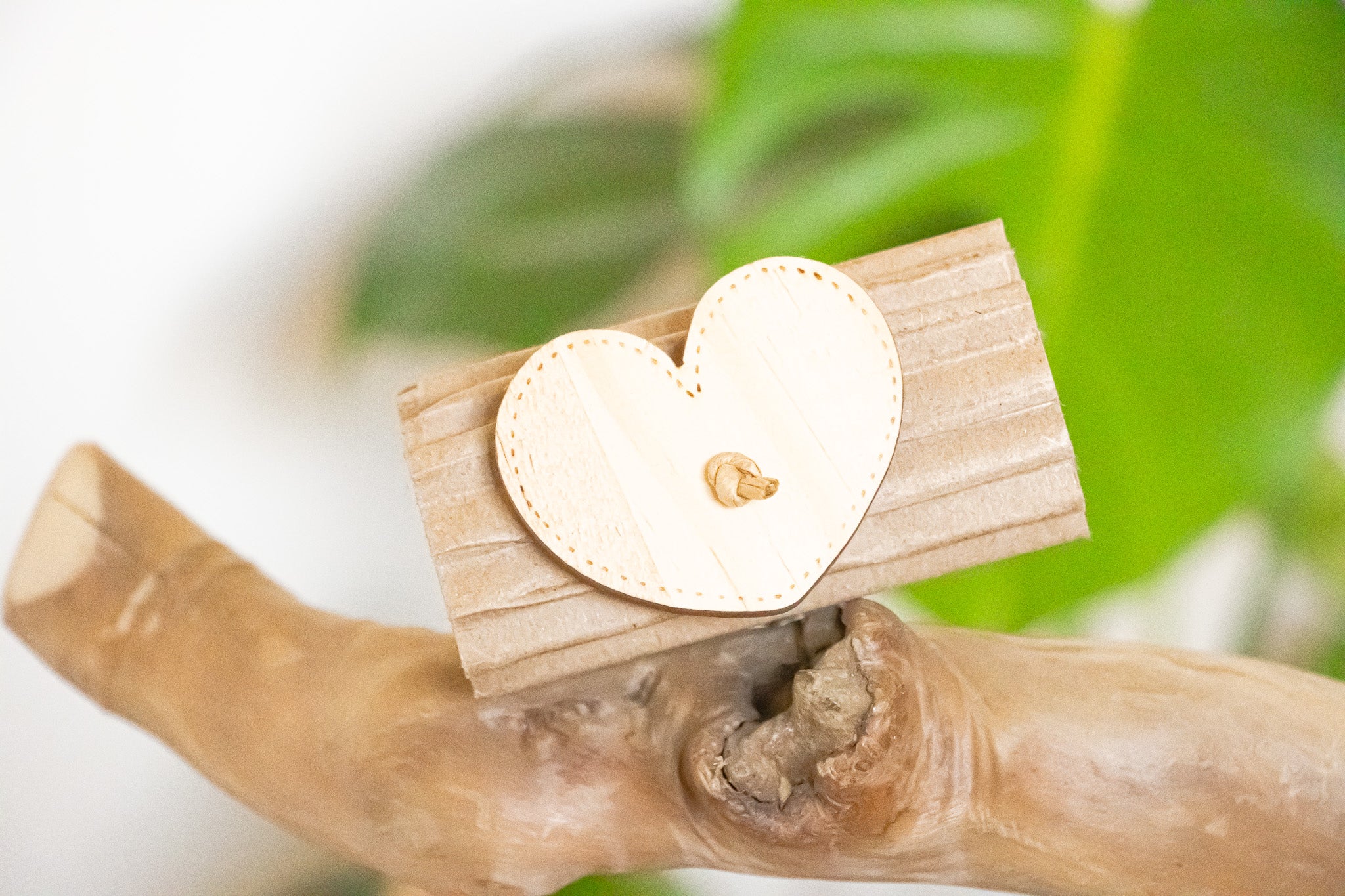 Earth's Love - Foot Toy