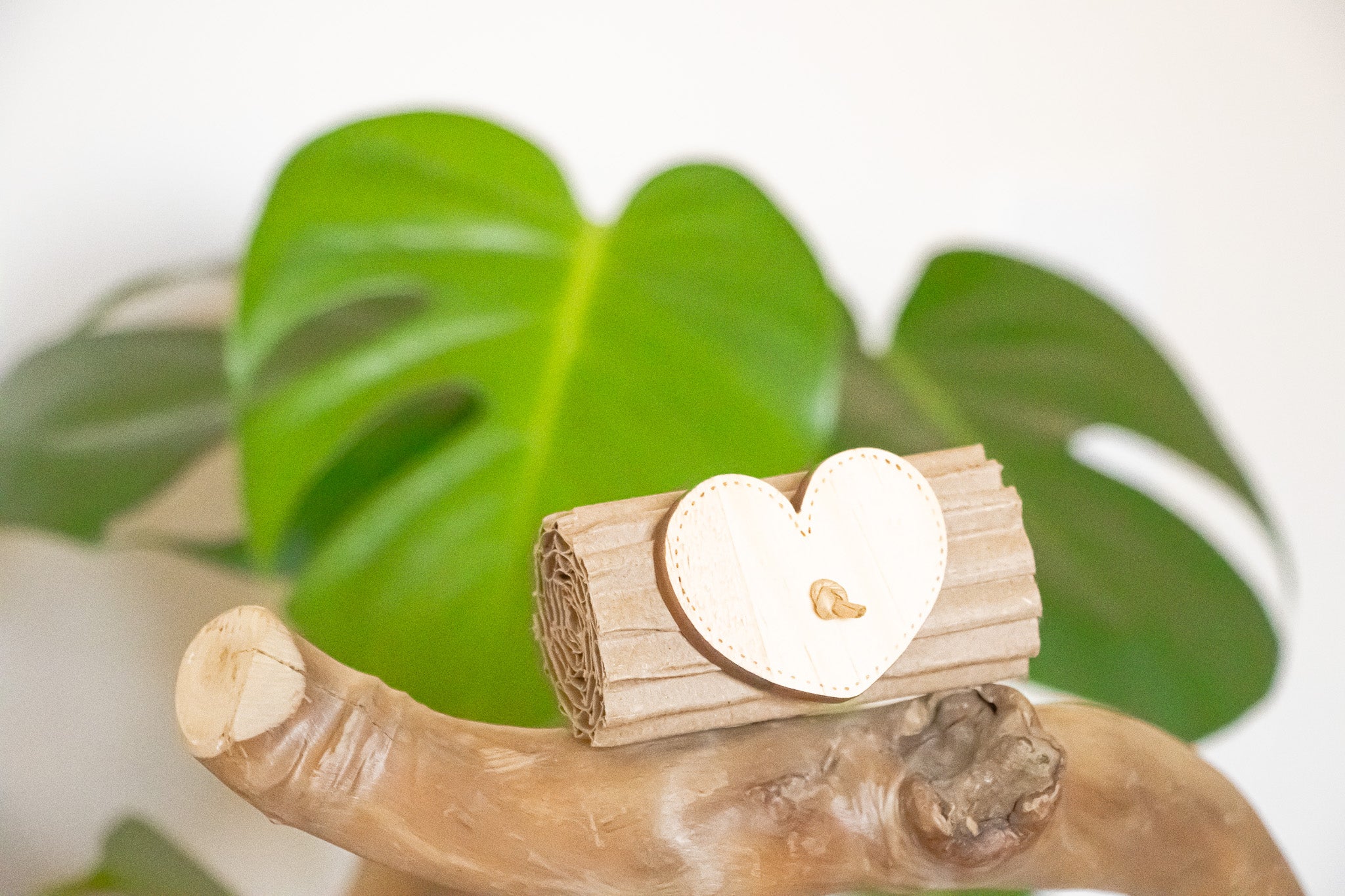 Earth's Love - Foot Toy