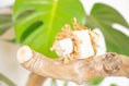 Load image into Gallery viewer, Whimsical Breeze - Foot Toy
