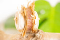 Load image into Gallery viewer, Mystic Forest - Foot Toy
