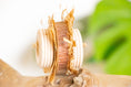 Load image into Gallery viewer, Mystic Forest - Foot Toy

