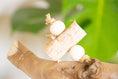 Load image into Gallery viewer, Birch Bark Bliss - Foot Toy
