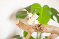 Load image into Gallery viewer, Birch Bark Bliss - Foot Toy
