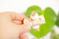 Load image into Gallery viewer, Birch Bark Bliss - Foot Toy
