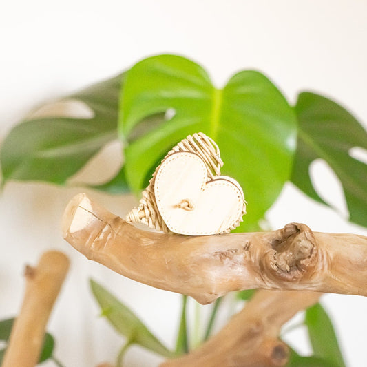 Avian Love - Foot Toy