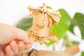 Load image into Gallery viewer, Nature's Pure Bliss - Foot Toy
