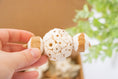 Load image into Gallery viewer, Earths Elements - Natural Toy
