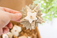 Load image into Gallery viewer, Earths Elements - Natural Toy
