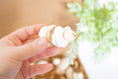 Load image into Gallery viewer, Sola Wonderland - Natural Toy
