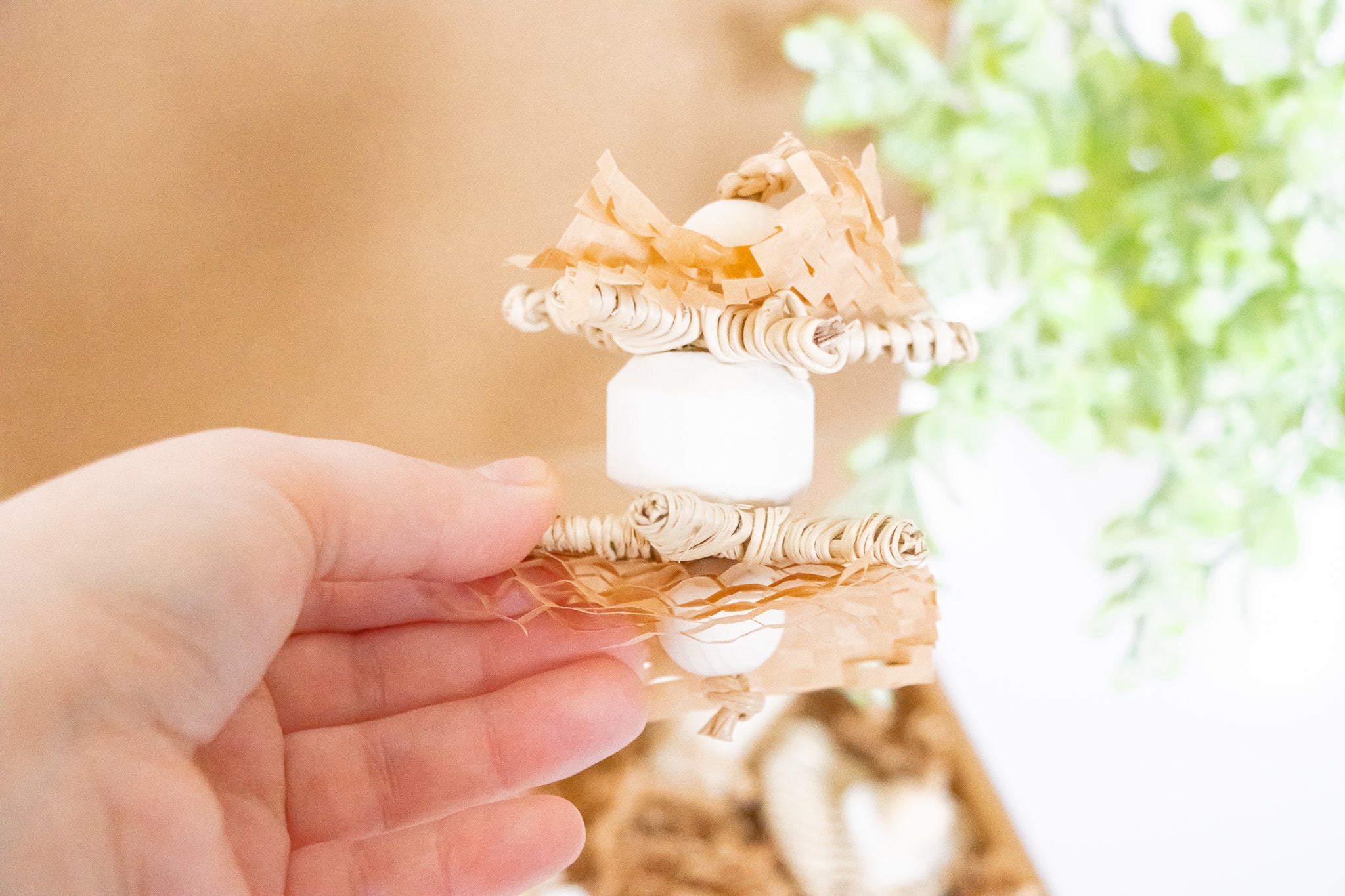 Sola Wonderland - Natural Toy
