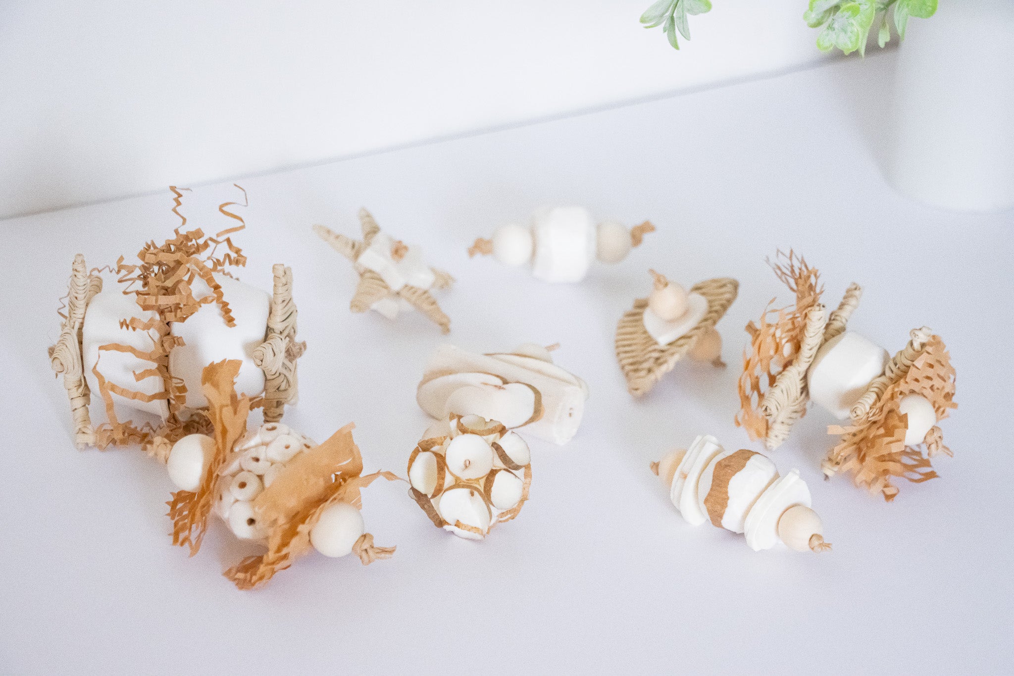 Sola Wonderland - Natural Toy