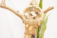 Load image into Gallery viewer, Quacktastic Adventures Basket - Natural Toy
