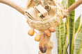Load image into Gallery viewer, Quacktastic Adventures Basket - Natural Toy
