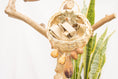 Load image into Gallery viewer, Quacktastic Adventures Basket - Natural Toy
