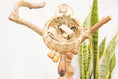 Load image into Gallery viewer, Quacktastic Adventures Basket - Natural Toy
