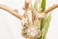Load image into Gallery viewer, Duck Dynasty - Natural Toy
