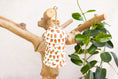 Load image into Gallery viewer, Berry Sweet - Shredding Toy

