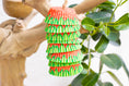 Load image into Gallery viewer, Very Strawberry - Shredding Toy
