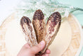 Load image into Gallery viewer, Mahogany Pod - Toy Part
