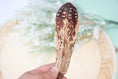 Load image into Gallery viewer, Mahogany Pod - Toy Part
