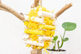 Load image into Gallery viewer, Buzzing Bee - Bee Collection
