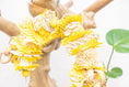 Load image into Gallery viewer, Pollinator - Bee Collection
