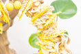 Load image into Gallery viewer, Pollinator - Bee Collection
