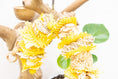 Load image into Gallery viewer, Pollinator - Bee Collection
