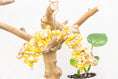 Load image into Gallery viewer, Pollinator - Bee Collection
