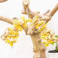 Load image into Gallery viewer, Pollinator - Bee Collection
