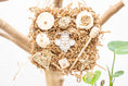 Load image into Gallery viewer, Honeycomb Maze - Bee Collection
