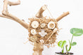 Load image into Gallery viewer, Honeycomb Maze - Bee Collection
