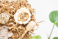 Load image into Gallery viewer, Honeycomb Maze - Bee Collection
