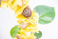 Load image into Gallery viewer, Buzzing into Adventure - Bee Collection
