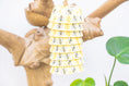 Load image into Gallery viewer, Pollinator's Paradise - Bee Collection
