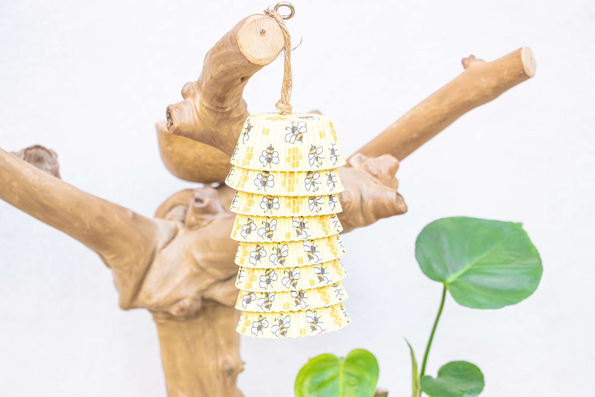 Pollinator's Paradise - Bee Collection
