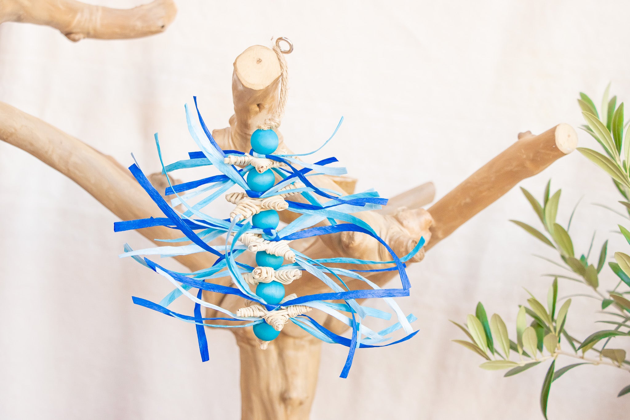 Winter Twinkle - Winter Collection