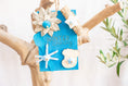 Load image into Gallery viewer, Winter is Coming - Winter Collection
