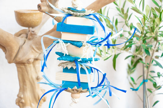 Frozen Fun - Winter Collection