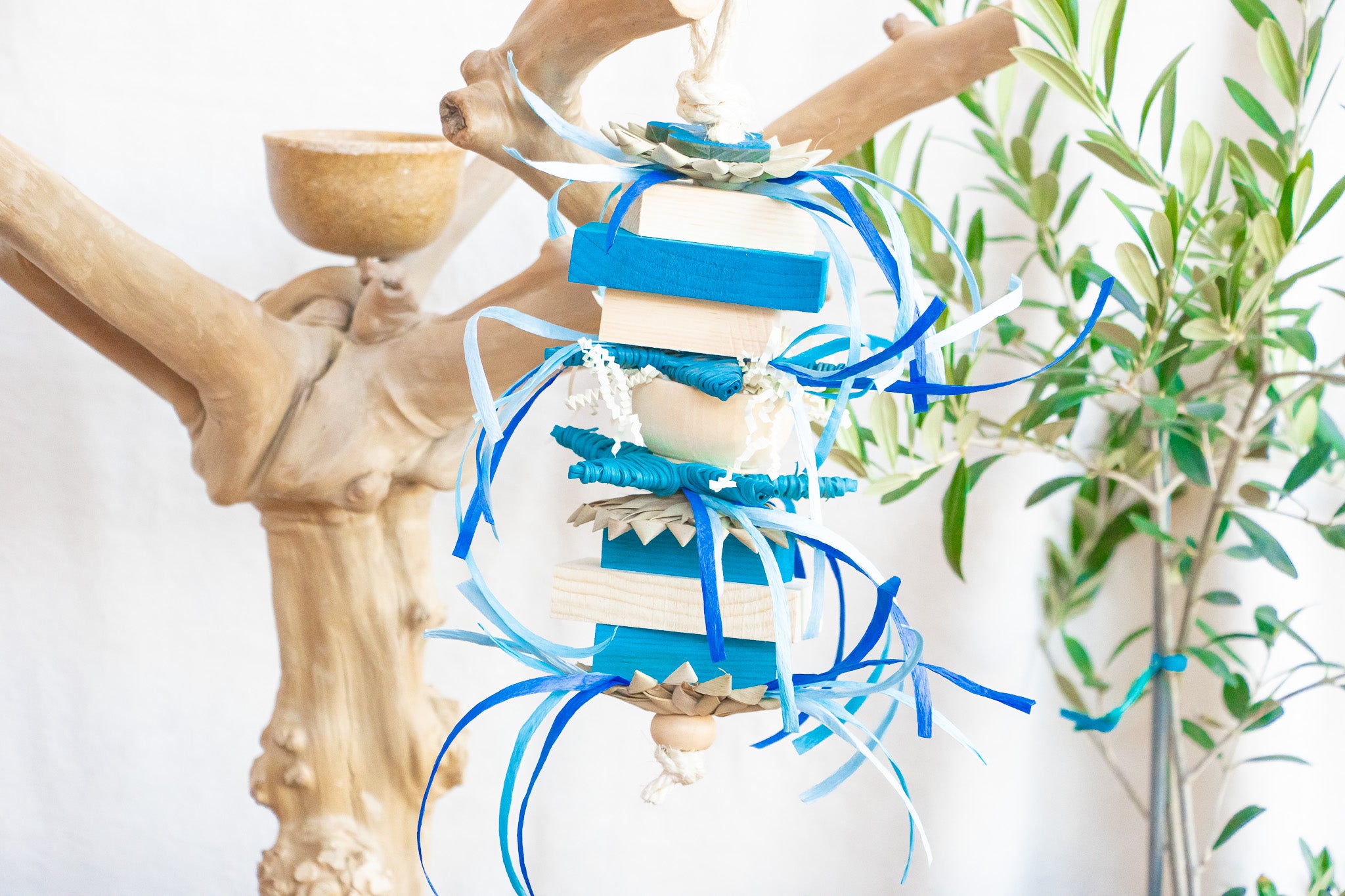 Frozen Fun - Winter Collection
