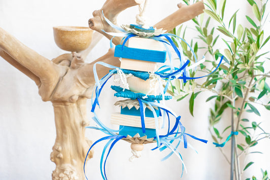 Frozen Fun - Winter Collection