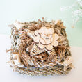 Load image into Gallery viewer, Frosty Days - Winter Collection
