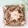 Load image into Gallery viewer, Frosty Days - Winter Collection
