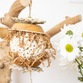 Load image into Gallery viewer, Whimsical Garden - Natural Collection
