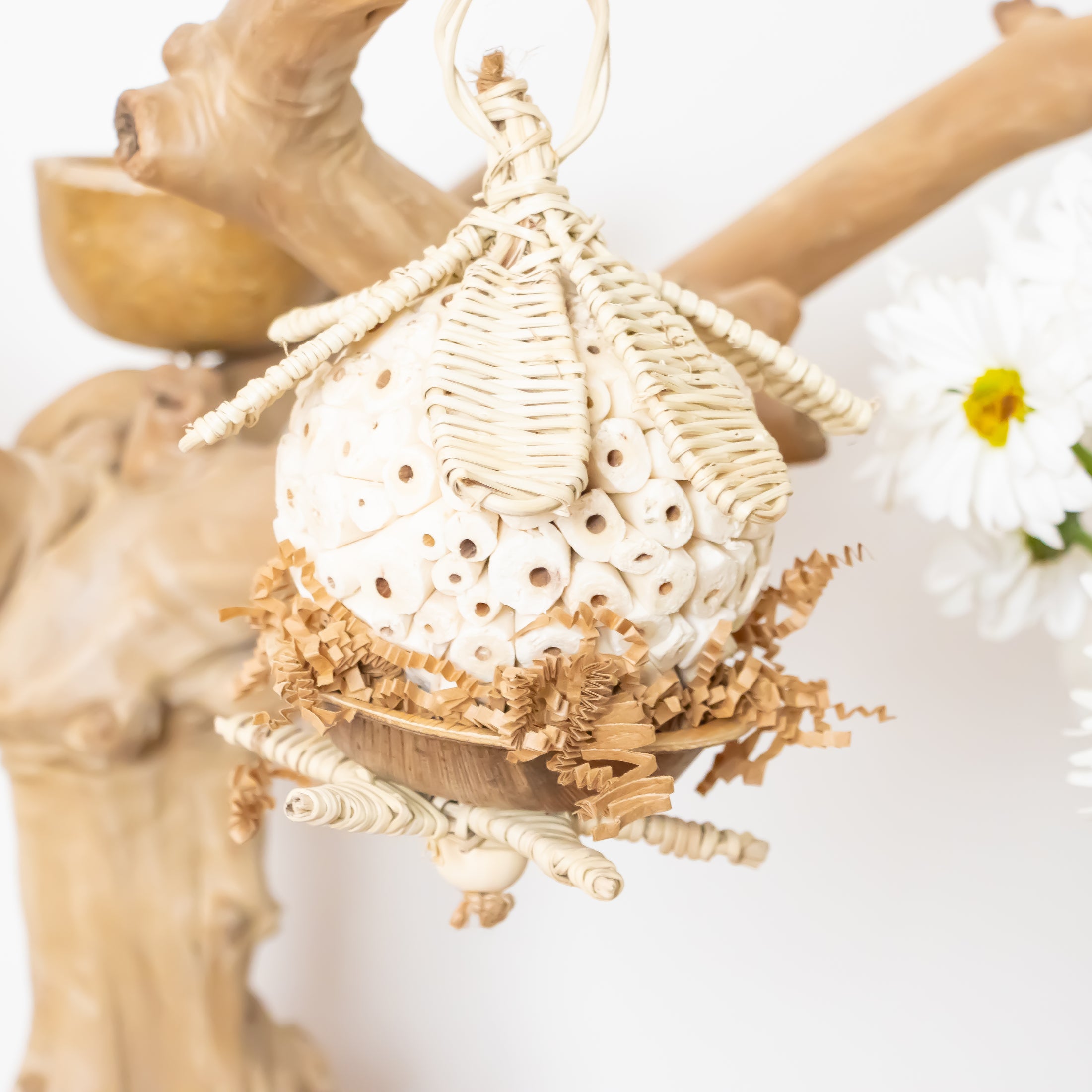 Enchanted Garden - Natural Collection
