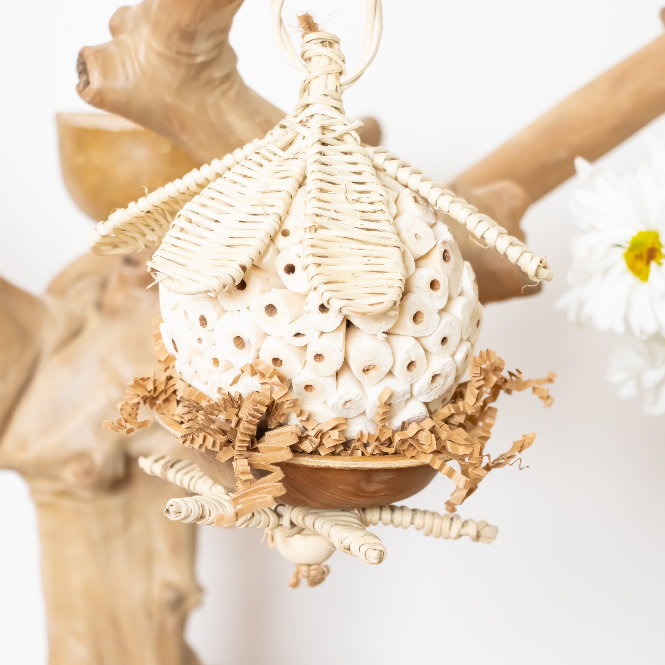 Enchanted Garden - Natural Collection
