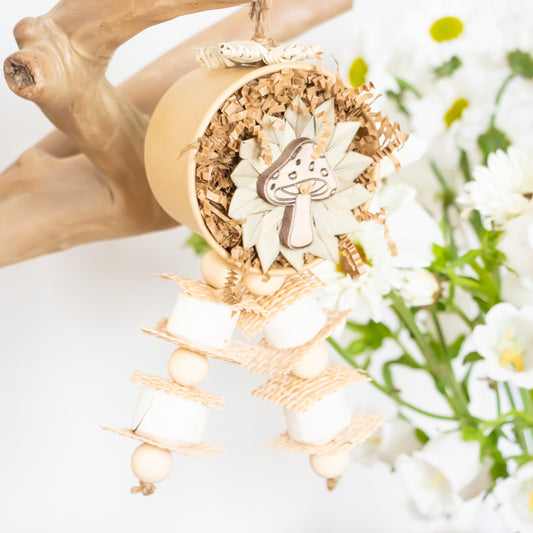 Natures Fungi - Natural Collection