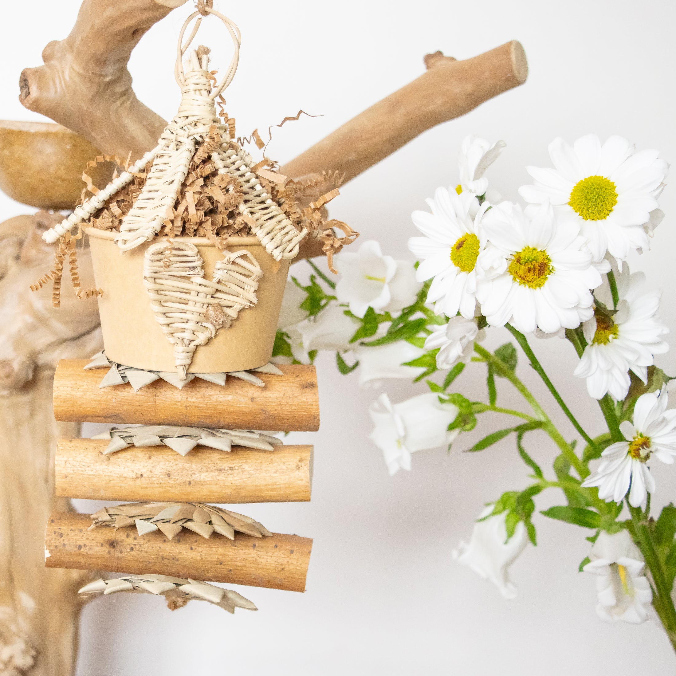 Heart of Nature - Natural Collection