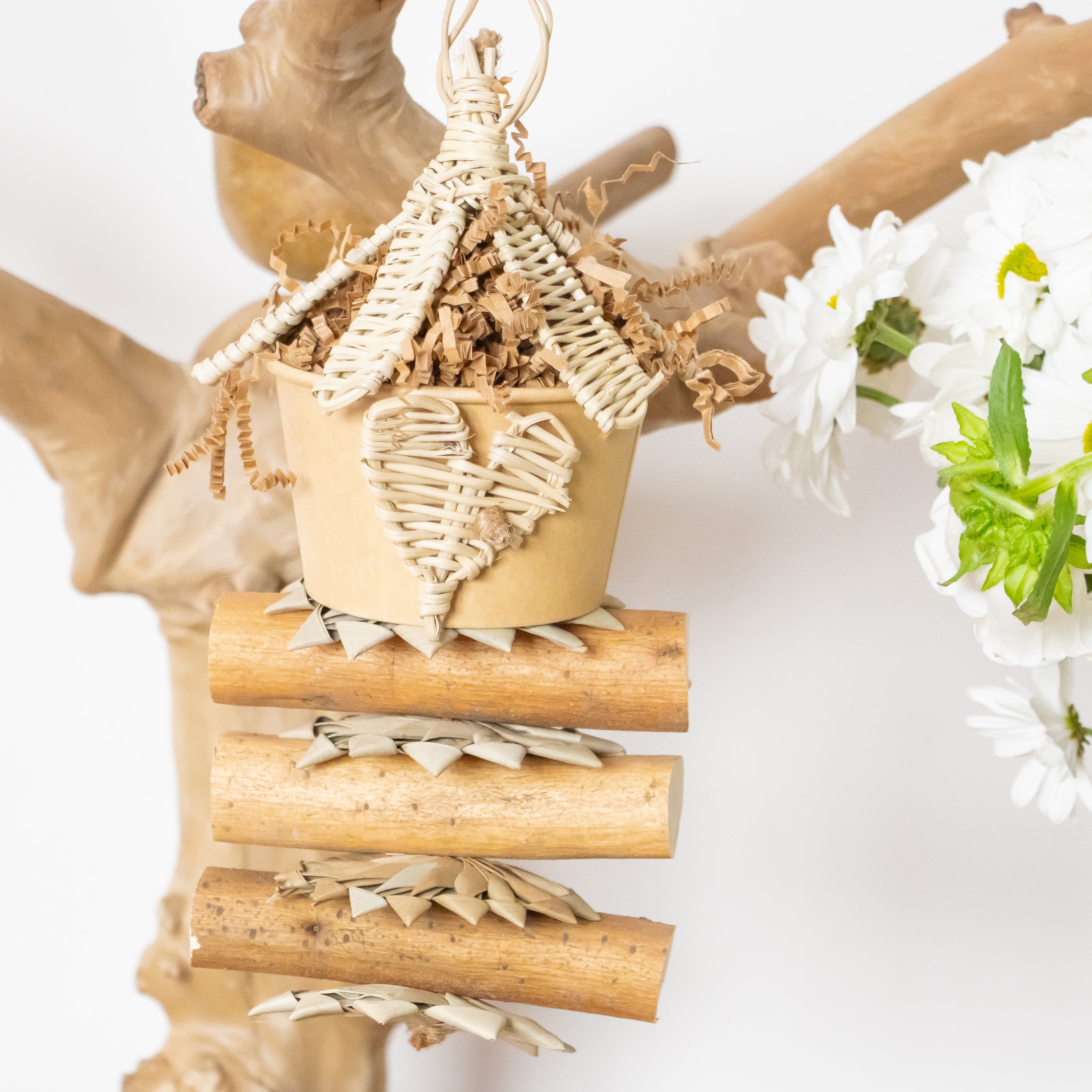 Heart of Nature - Natural Collection