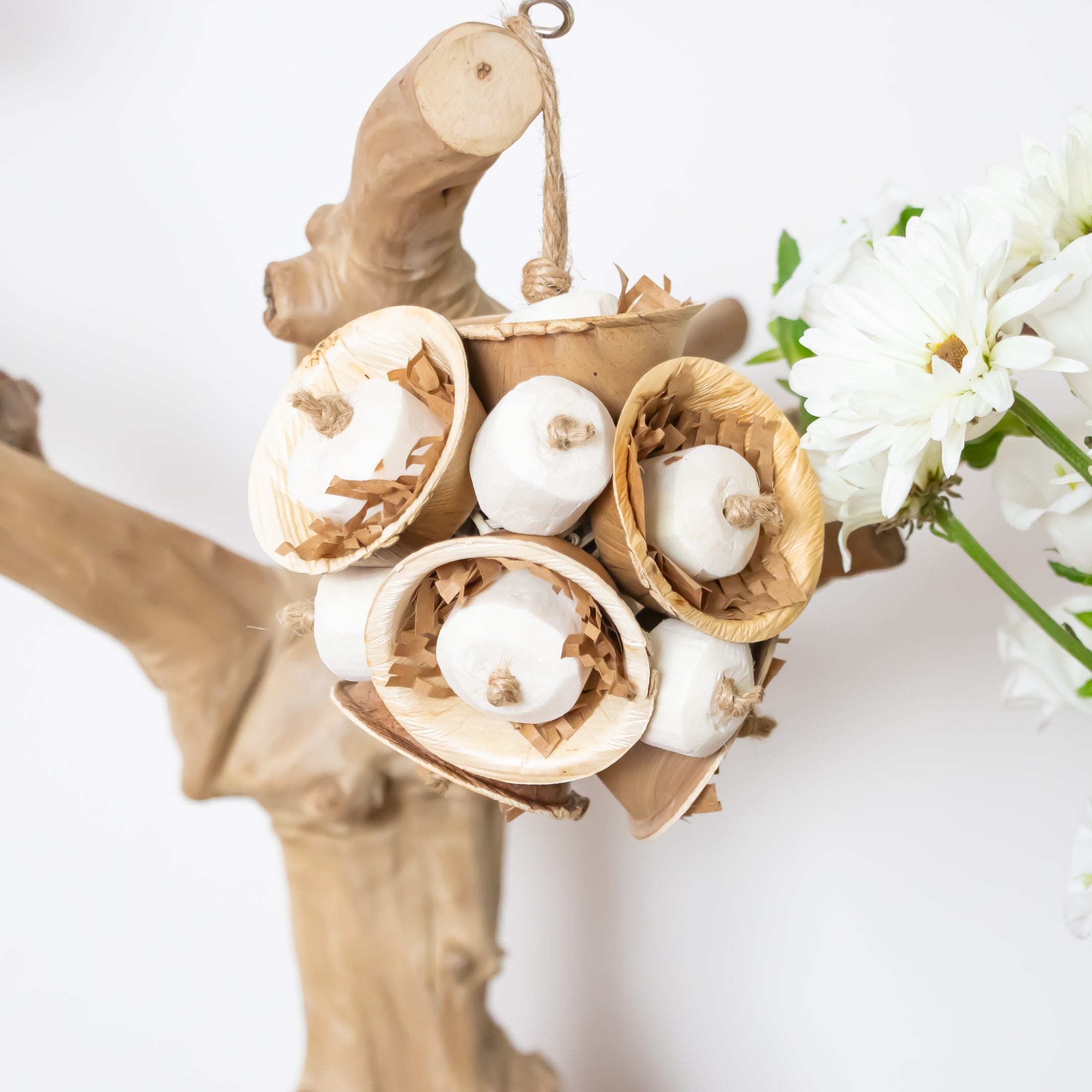 Woodland Twilight - Natural Collection